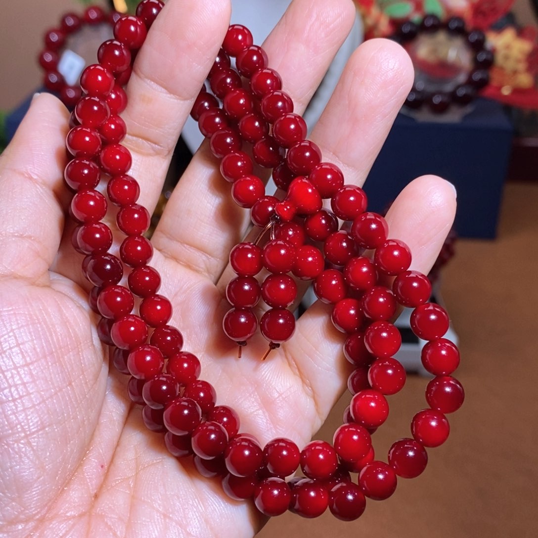 贝壳杉帝王血龙木0.6高货