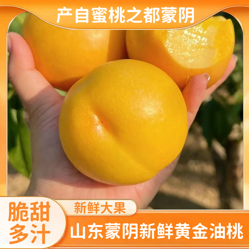 【中通冷链】蒙阴黄金油桃新鲜当季水果黄皮黄肉蒙阴蜜桃新鲜现摘