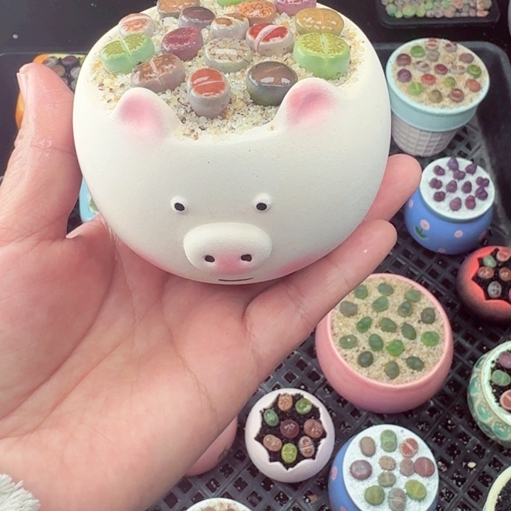 610零下地区记得拍保温小箱满18包邮