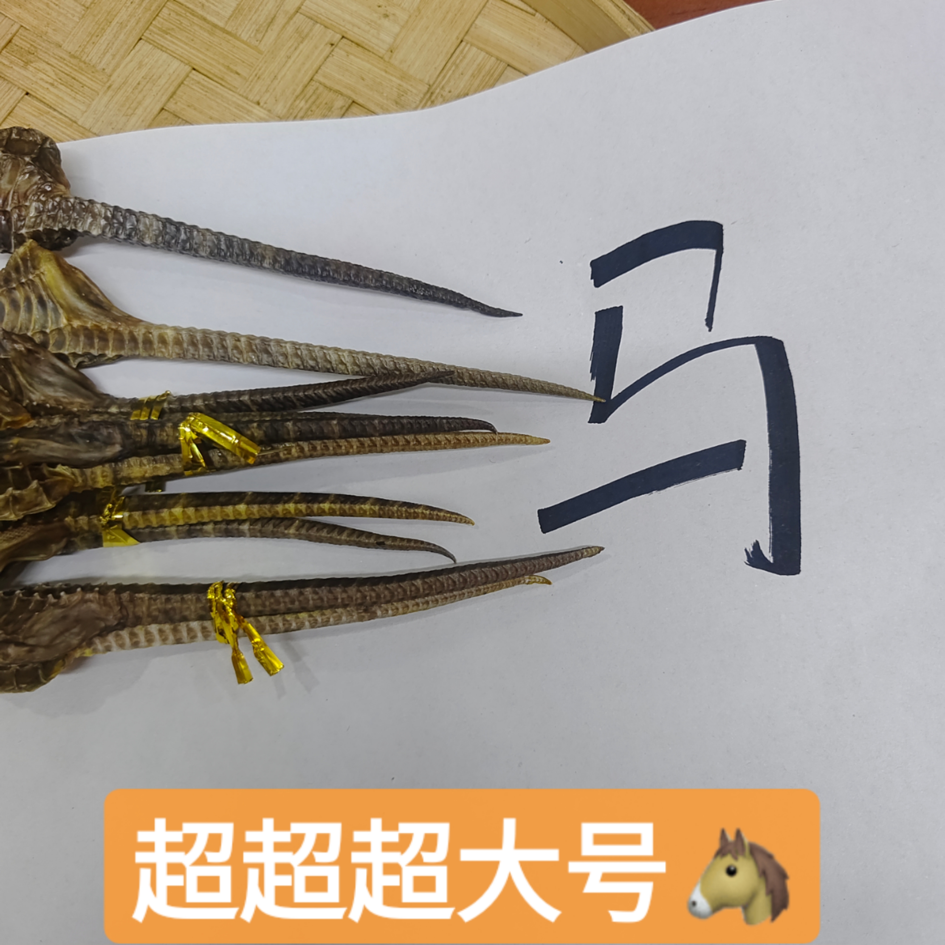 超超超大号马鱼干高高汤 可泡酒炖汤 天然生晒足干