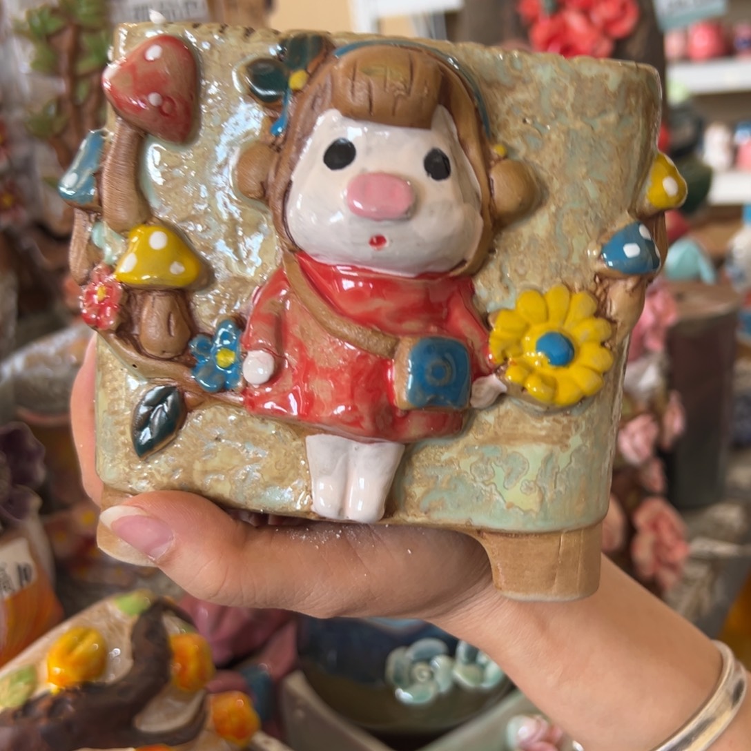 花盆，拍满20发货，退款拉黑