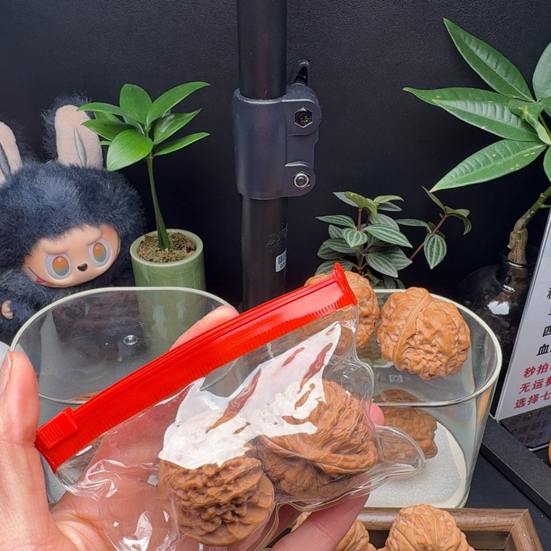 3***g龙脊菩提把件全品宫灯42+