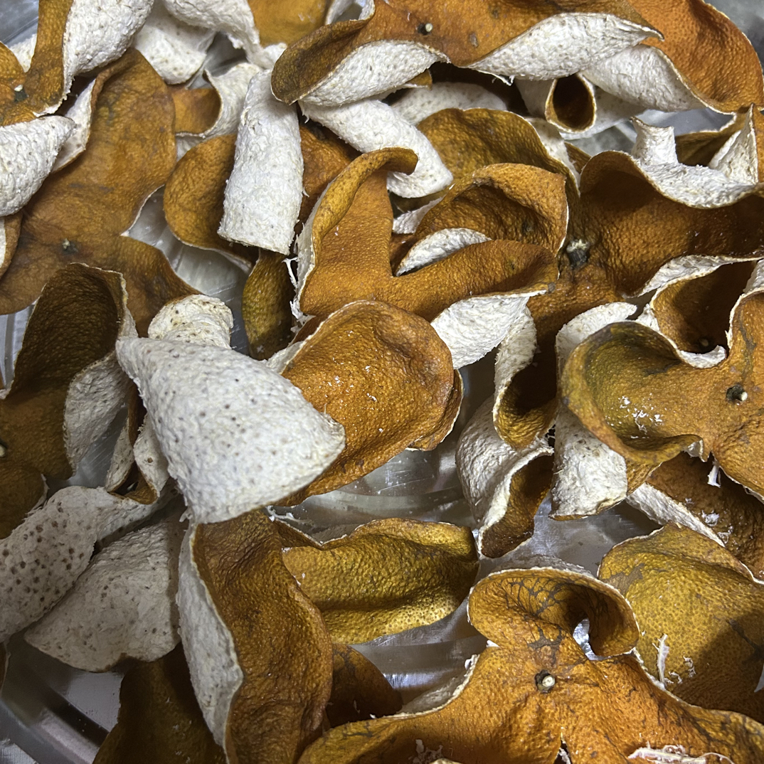 （瑕疵二红皮）2025年有整皮有断皮三江产区性价比高