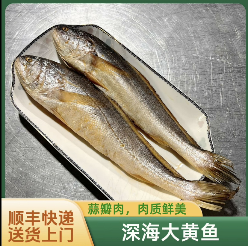 新鲜海捕大黄鱼大号7两左右每条 蒜瓣肉生鲜海鲜江苏发货