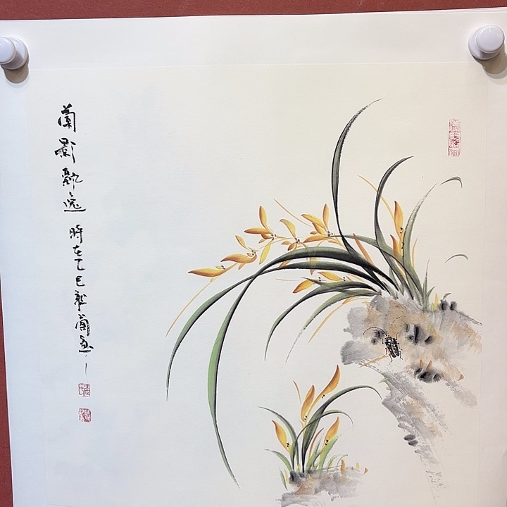 国画听兰老师花鸟