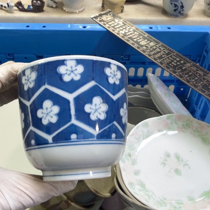 瓷片昨*开播啦…开播啦！