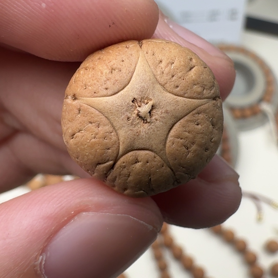 凤眼菩提吊坠18.5/14五星