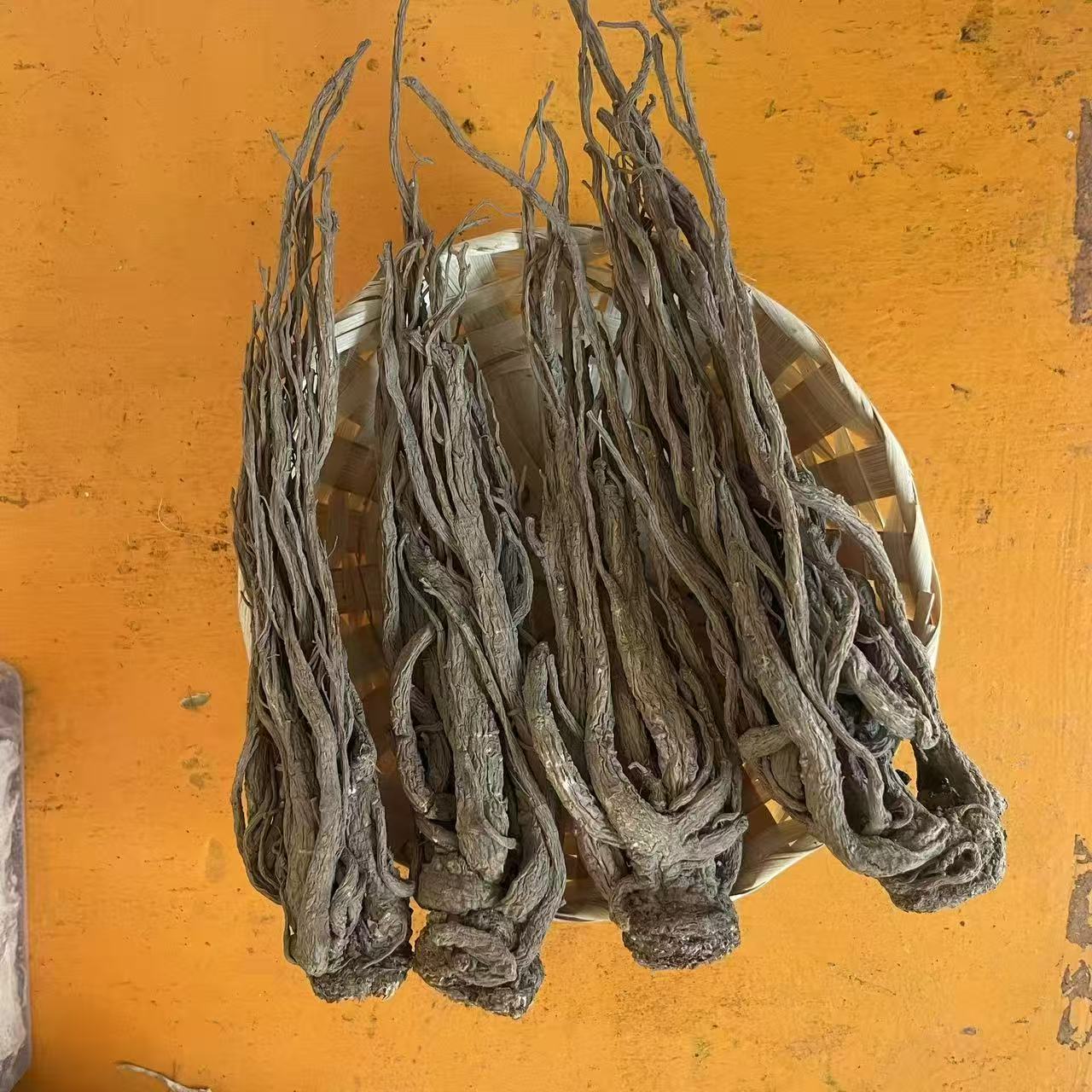 甘肃当归干货无硫滋补可煲汤炖肉养生佳品