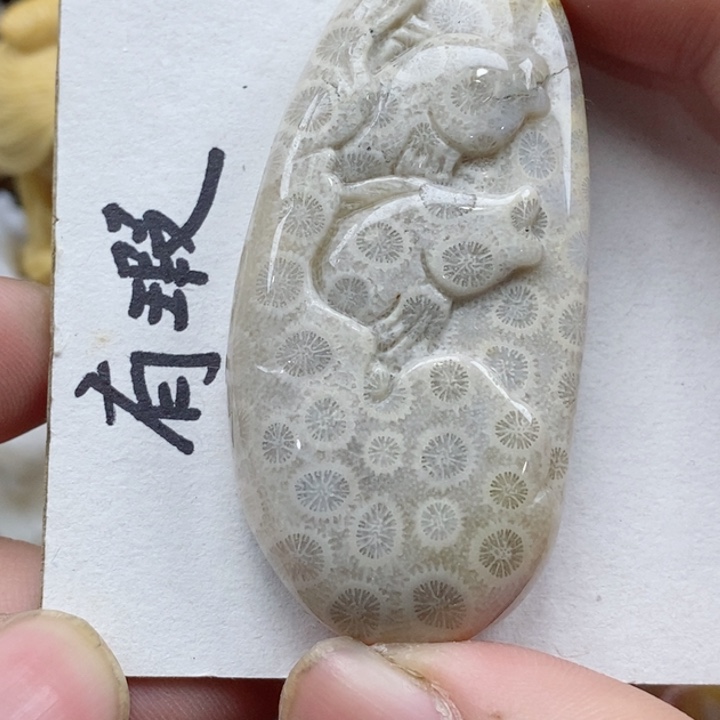 颈饰未镶嵌硅化珊瑚（珊瑚玉）