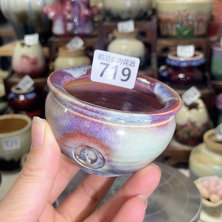 红陶内口径6高度5