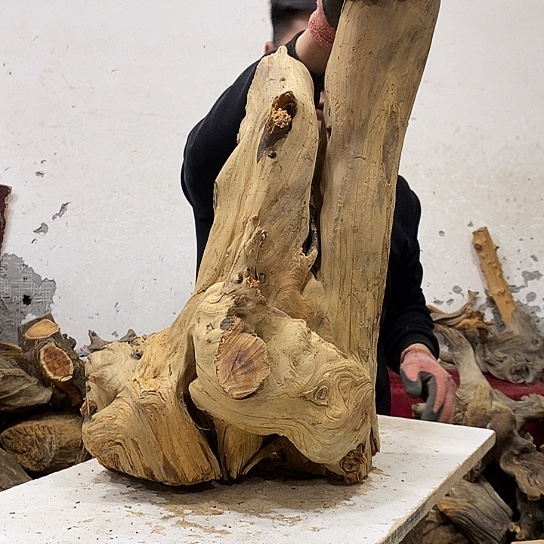 西****柏木我们都是好孩子