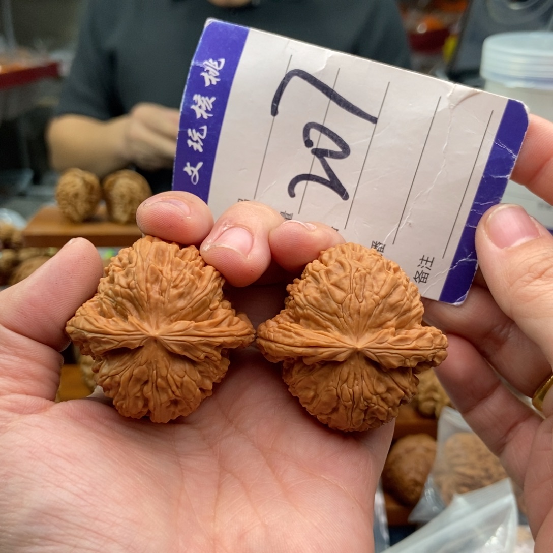 把件文玩核桃42白狮子