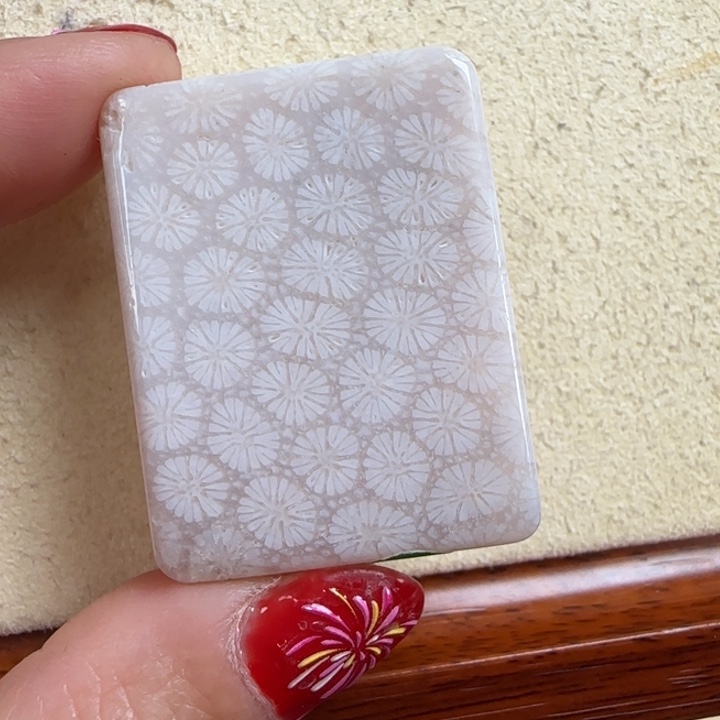 硅化玉素面吊坠珊瑚玉未镶嵌