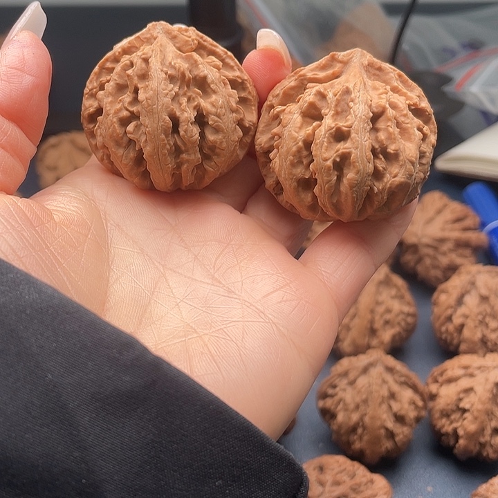 包***性龙脊菩提把件秦岭核桃