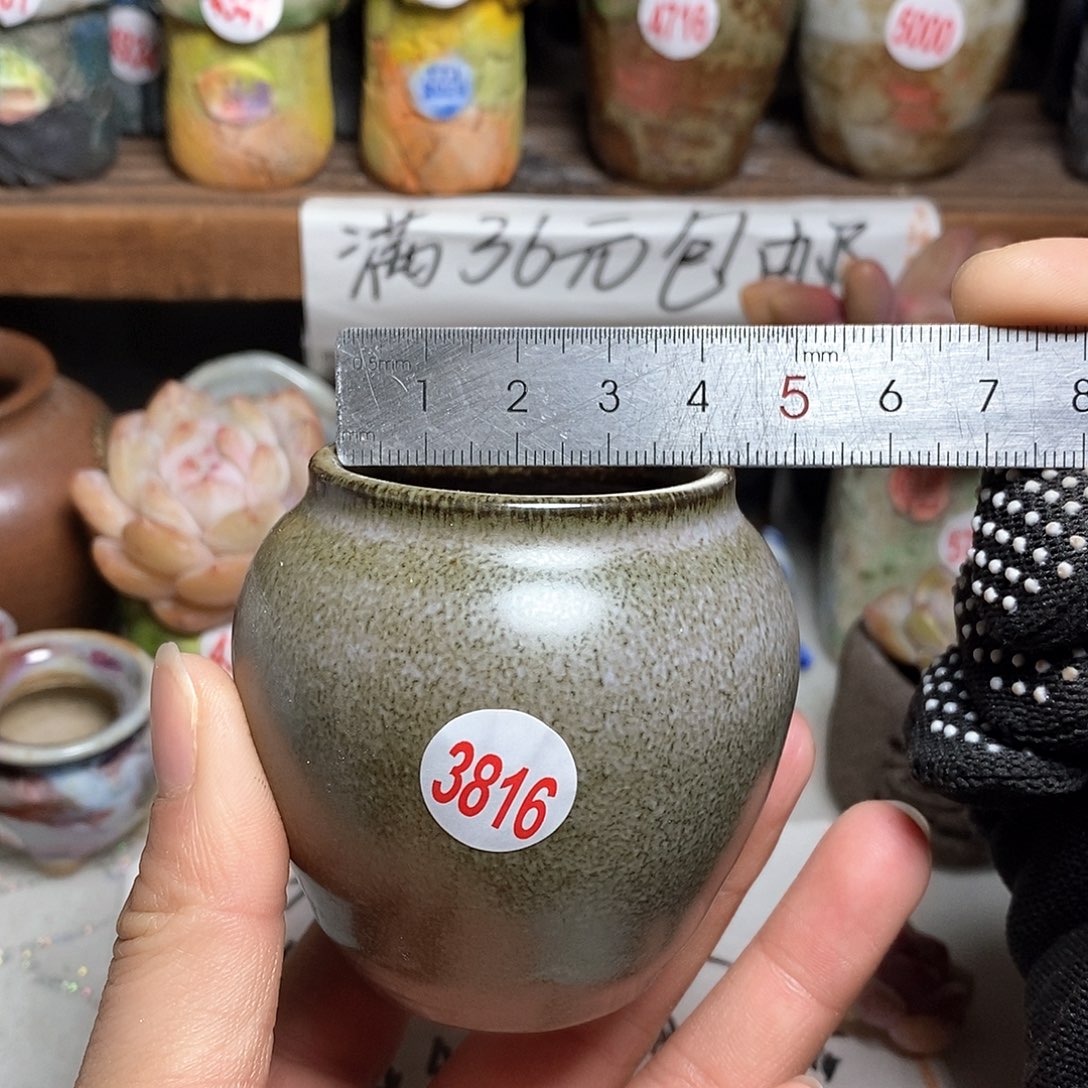 红陶拍5送一个小