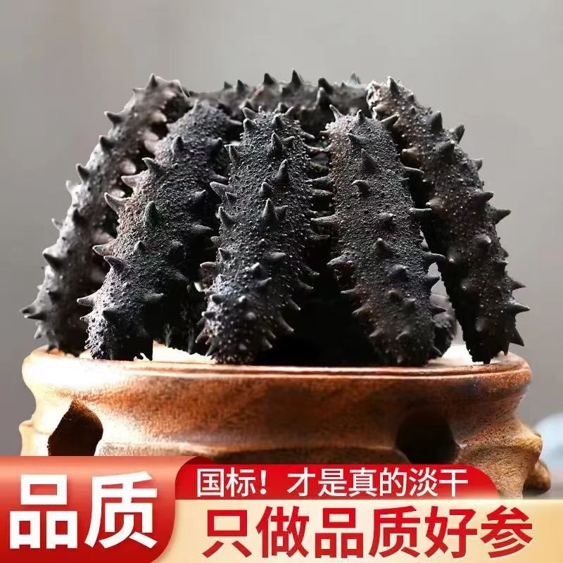 【4大盒】国标特级冷水速发高品质刺参淡干海参  干