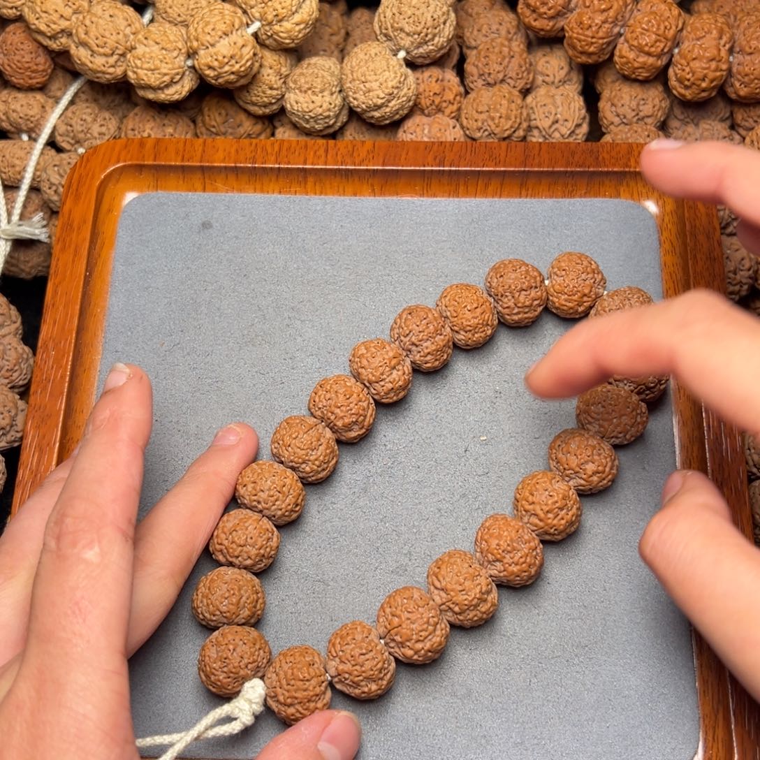 22号尼泊尔大金刚18五星蜂王菠萝蜜手持
