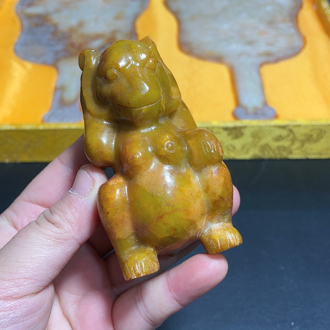 官方链接下单放心拍