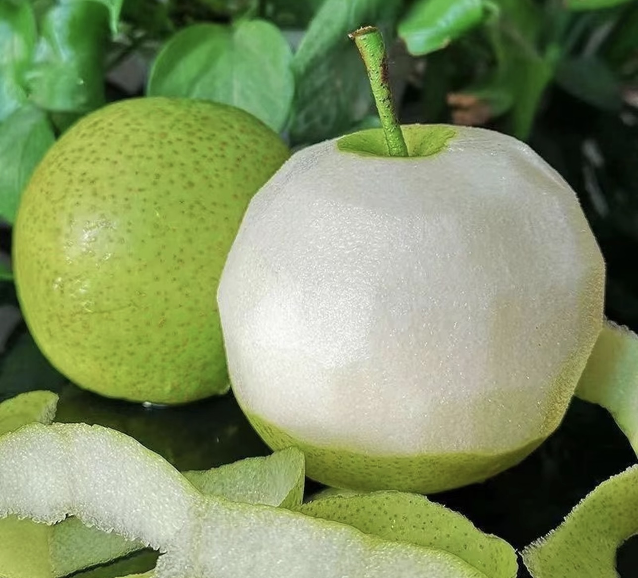 【脆甜多汁】正宗砀山酥梨新鲜水果酥脆整箱包邮