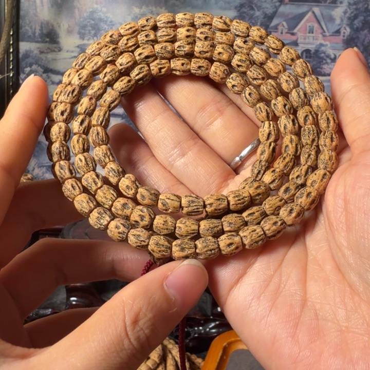 柏香籽/百香籽手串金*猫