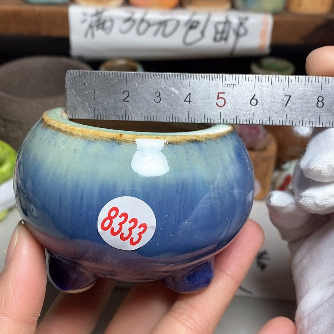 红陶拍5送一个小