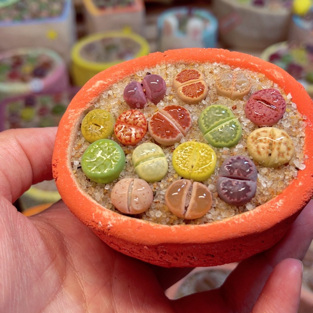 539。888888888888888888