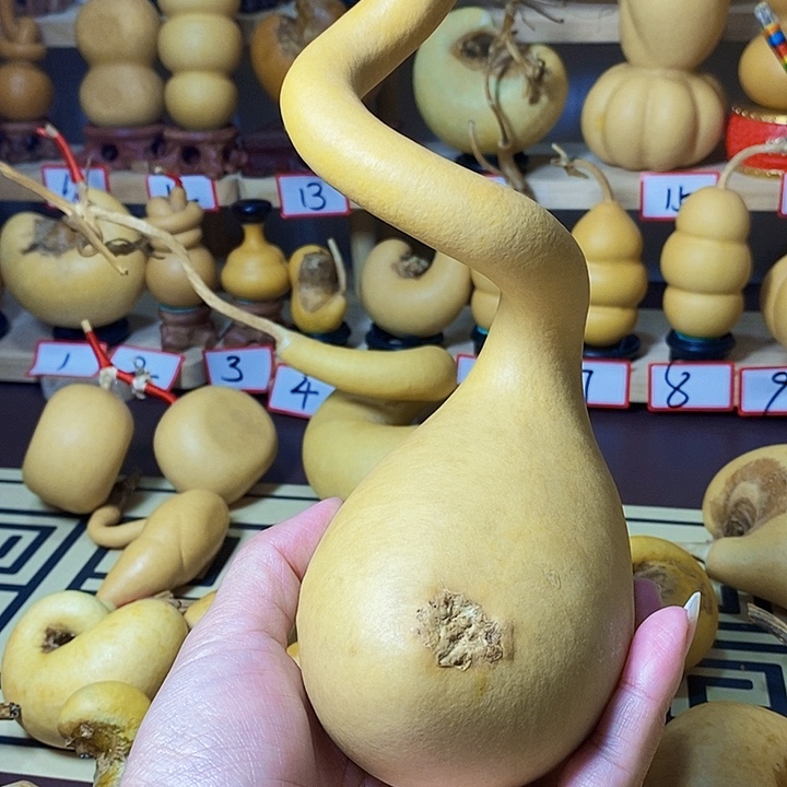 心***静蛇葫芦发发发发发发