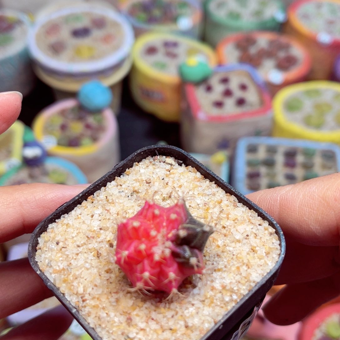 306. 6788667885688789