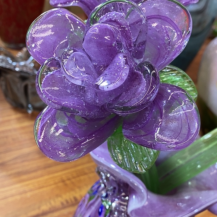 夜光花高45厘米宽12厘米