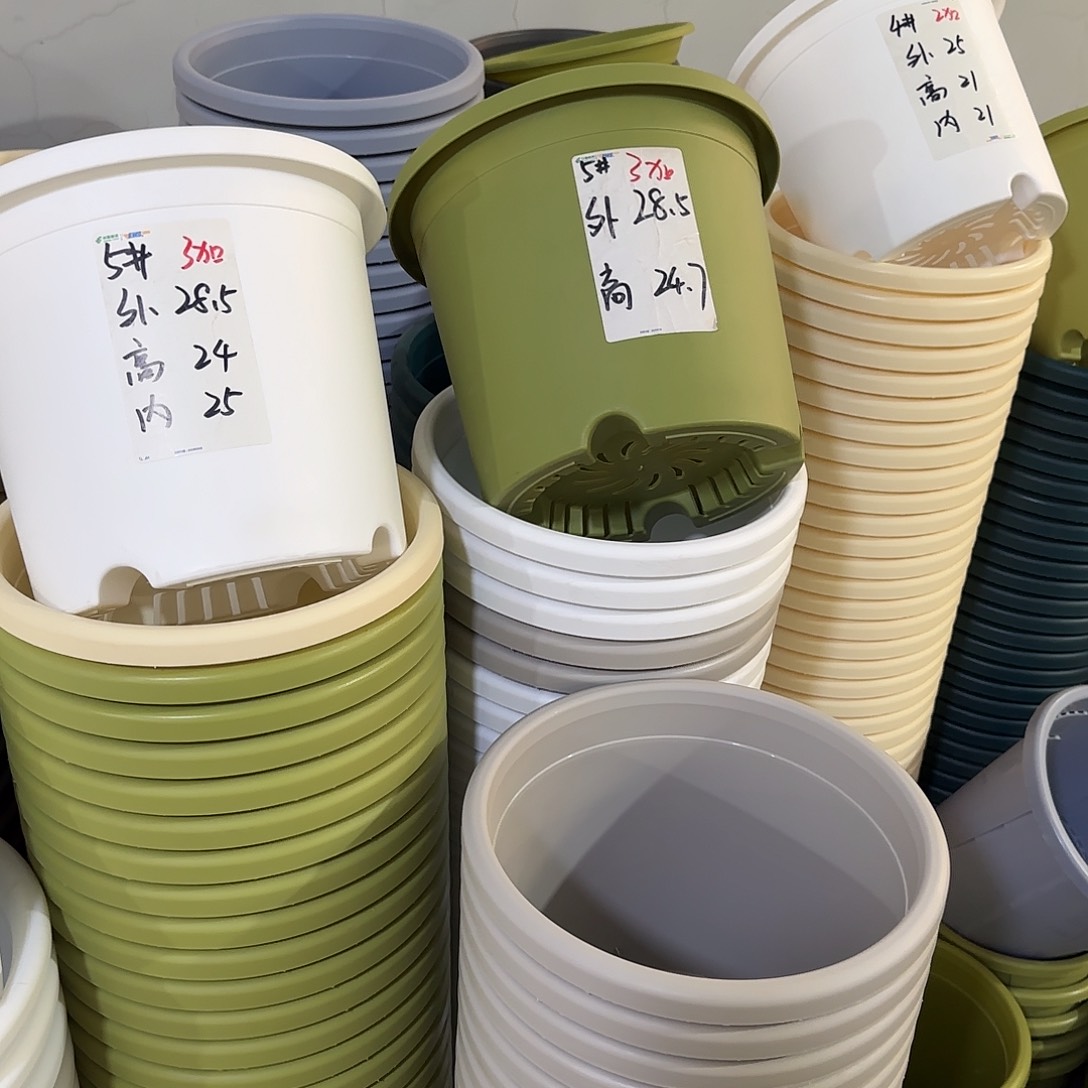 微瑕5号6个无托，果绿