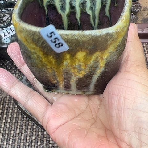 自产自销558qqqqqqq