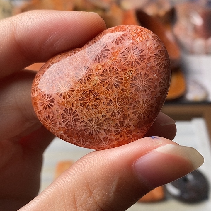 岁***好硅化珊瑚未镶嵌颈饰