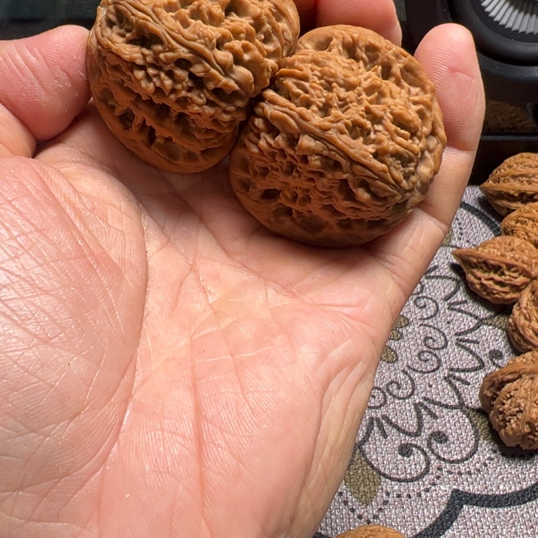 星***三龙脊菩提吊坠南疆石