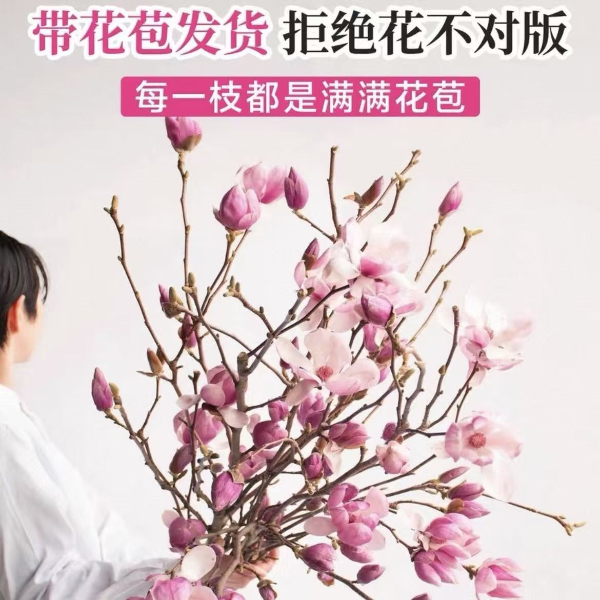 【遇水开花】水培植物白玉兰紫玉兰鲜花鲜切花带花苞室内好养绿植