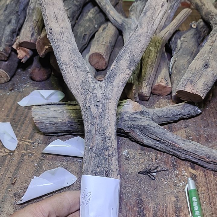 6***8火琉璃原杈，不保沉水慎拍！