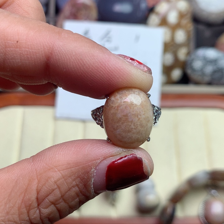 硅化珊瑚（珊瑚玉）颈饰未镶嵌