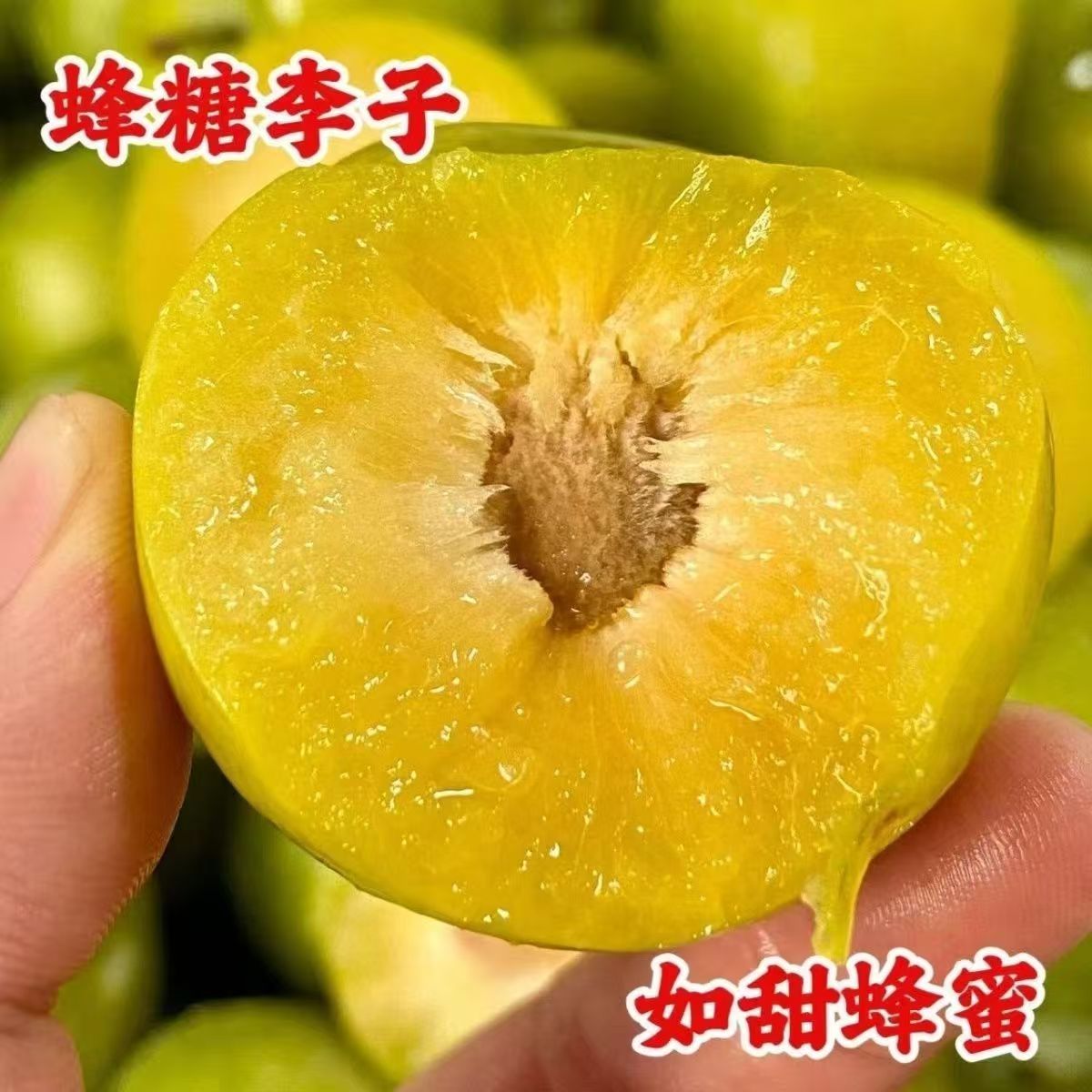 顺丰直发现货高山蜂糖李新鲜脆甜脱骨李冰糖李孕妇水果