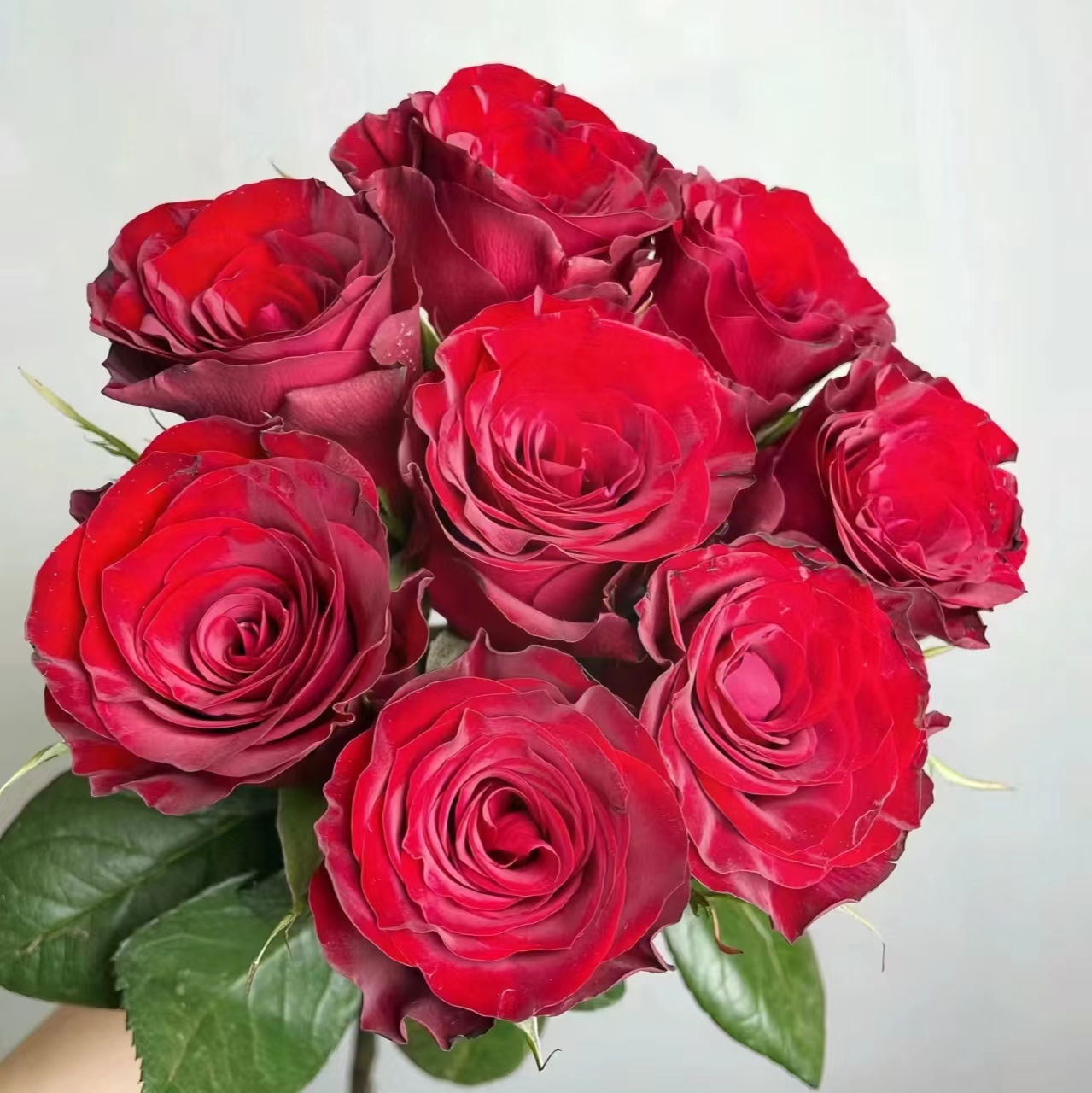 S1：红玫瑰5枝+红色腊梅（100-150克）+红豆1把+尤加利叶