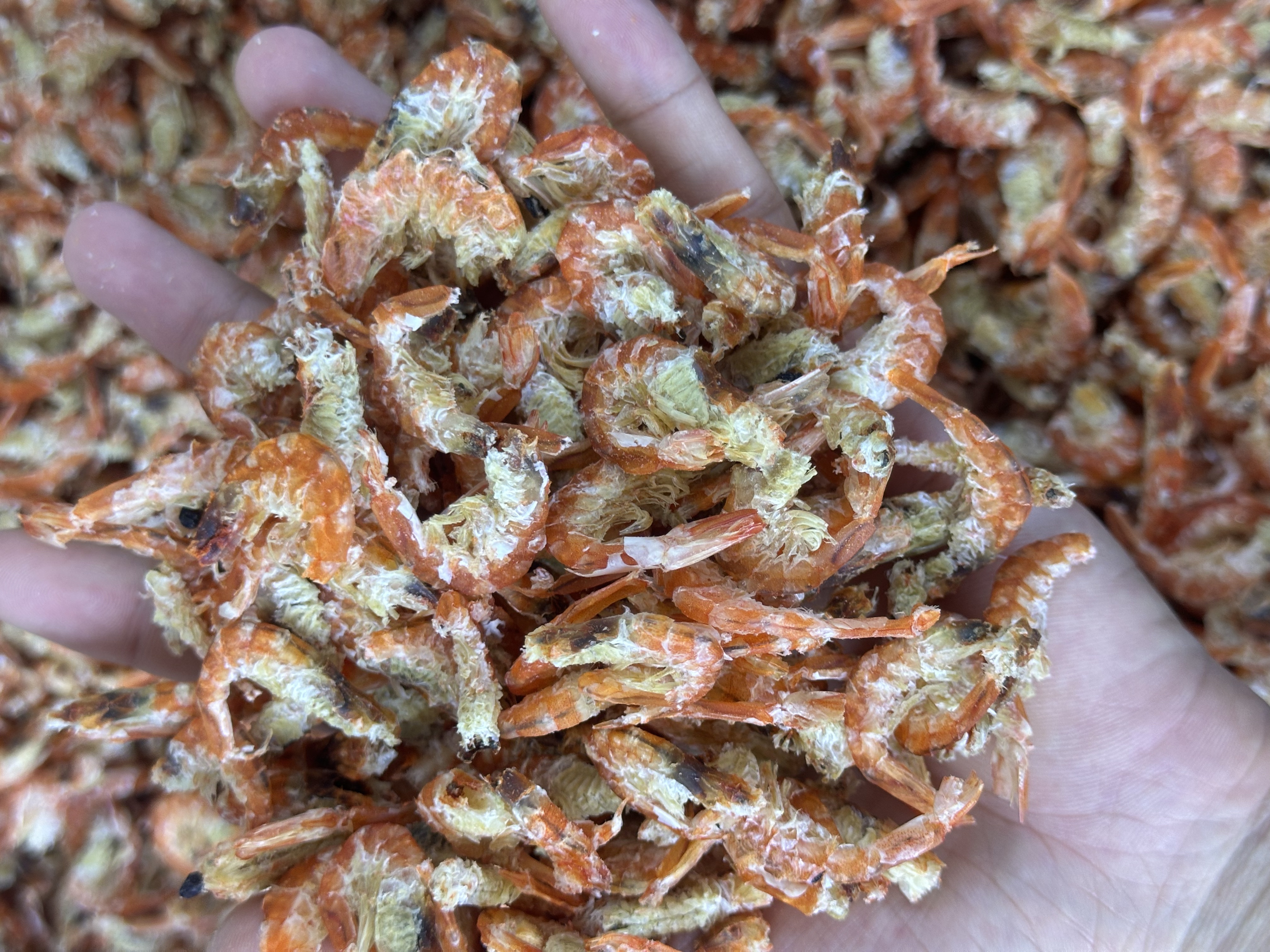 阅海伟-虾米！撒香必备靓货！