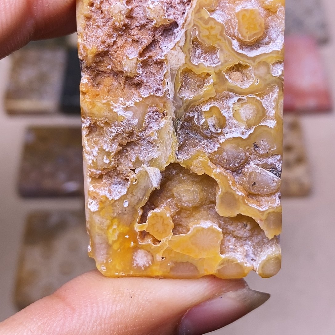 康***道硅化玉合金珊瑚玉