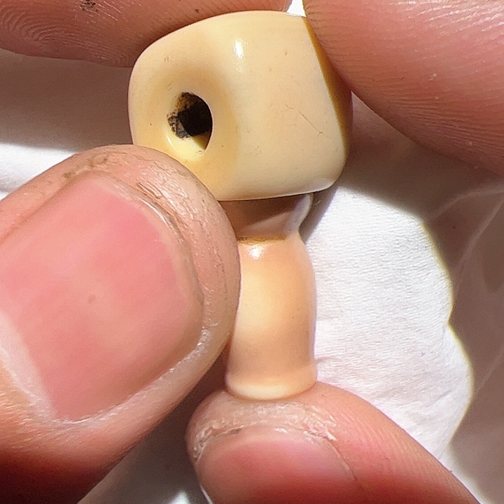 香榧木在这里的时候