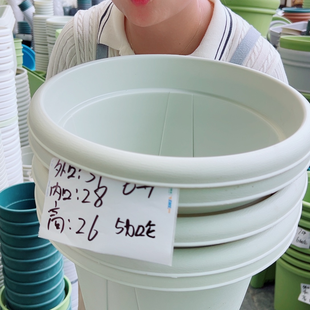青山盆6#米白色5个无托