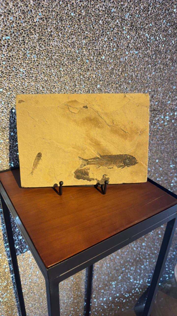 侏罗纪古物挂件 摆件