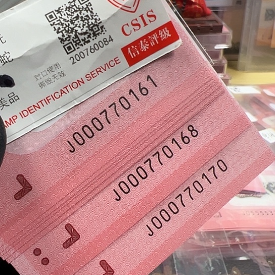 J000770161标十简易封装蛇