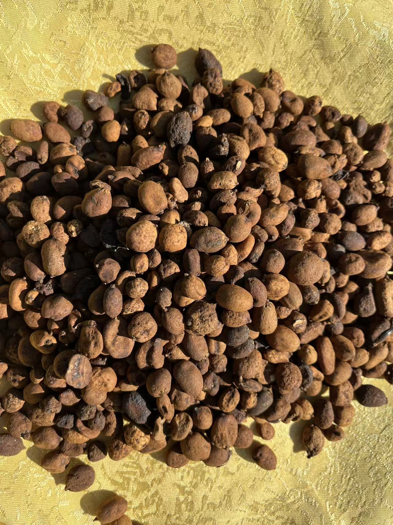 【主播精选】山货  地下明珠 1