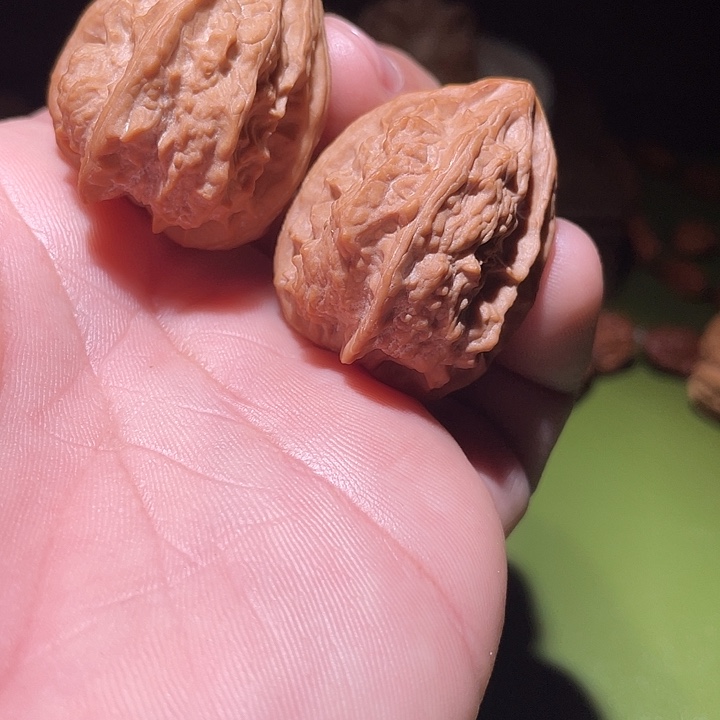 T****龙骨异性核桃核桃核桃