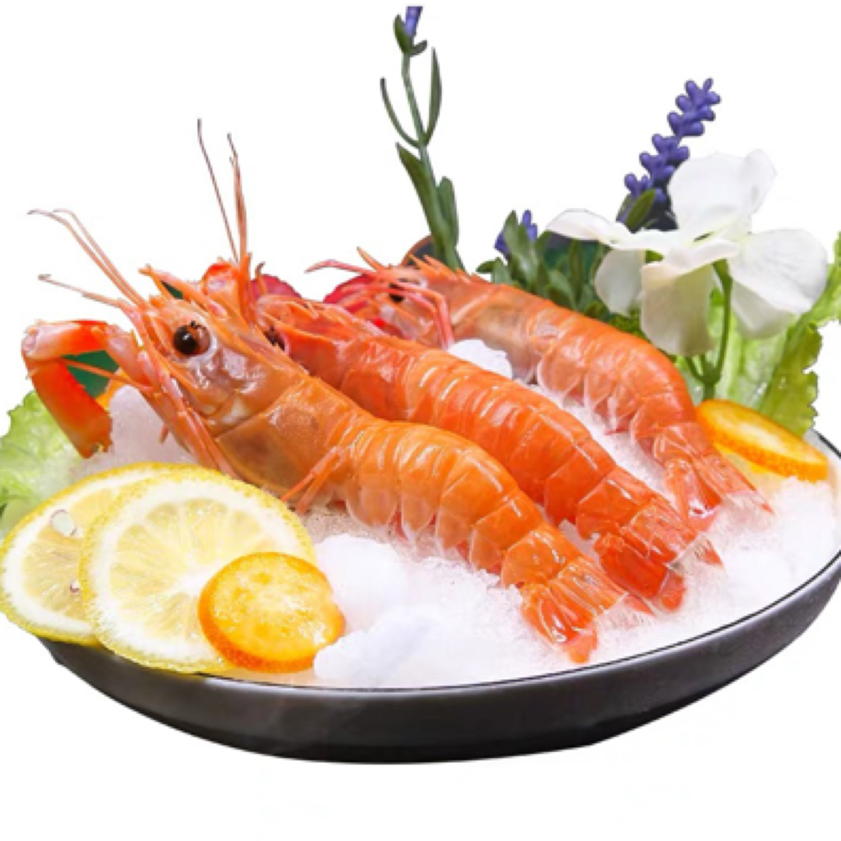 【海鳌虾】东海海螯虾超低温深海刺身料理冷冻锁鲜