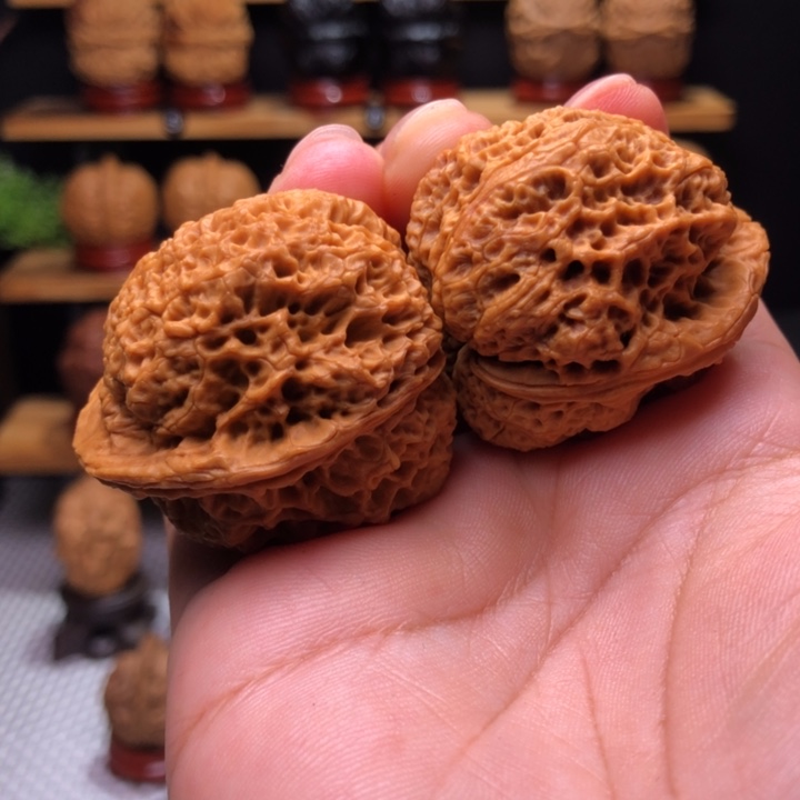 【闪购商品】鸽*蟾王三棱2