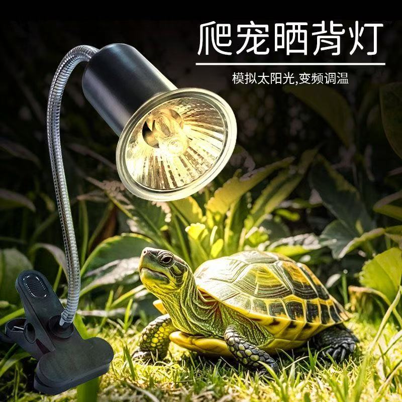 乌龟爬宠晒背灯uva取暖uvb加热保温太阳灯龟灯泡宠物乌龟恒温灯架