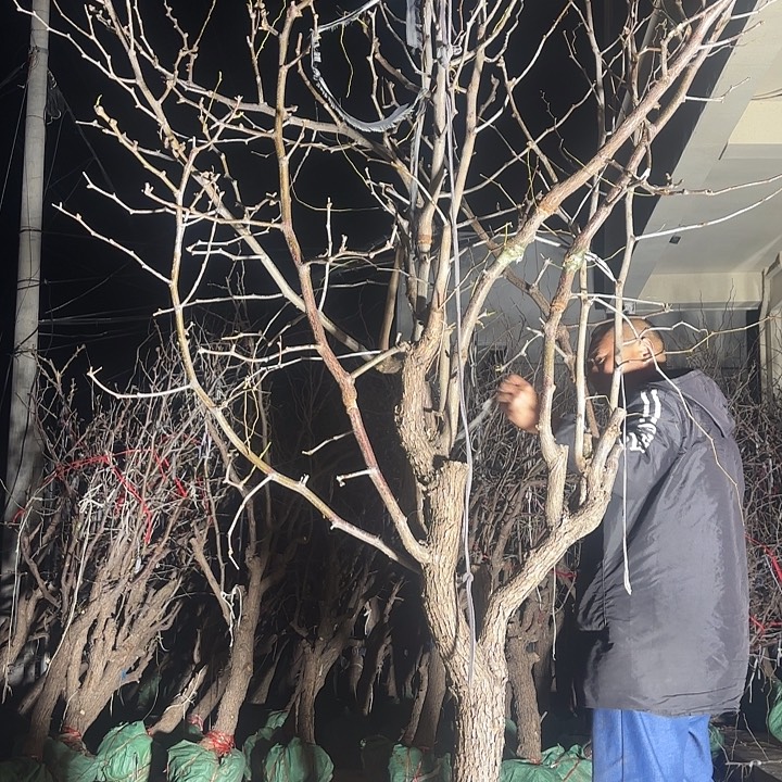 哈哈哈好有魅力哈太好